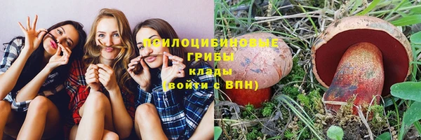 СК Заволжск