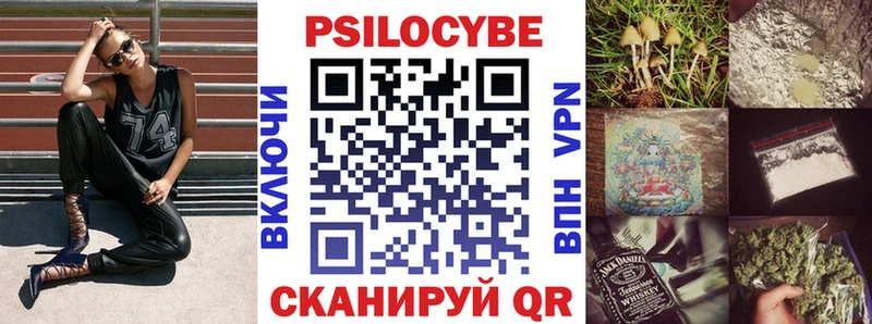 закладки  Хвалынск  Галлюциногенные грибы Psilocybe 